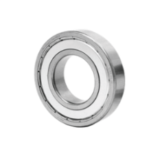 6000 SERİSİ RULMAN