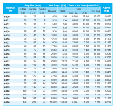 6200 SERİSİ RULMAN