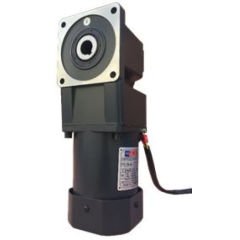 60W AYNA MAHRUTİ DC MOTOR